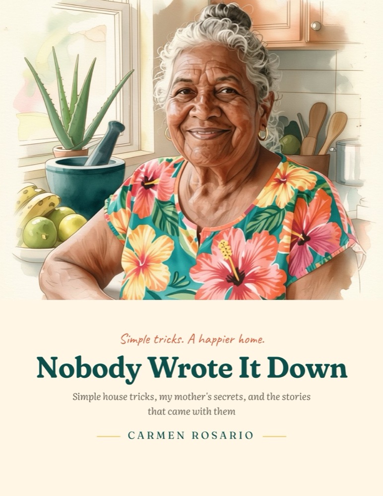 Cover of Nobody Wrote It Down by Carmen Rosario